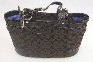 LOUIS VUITTON ミニランスピーディ M95224