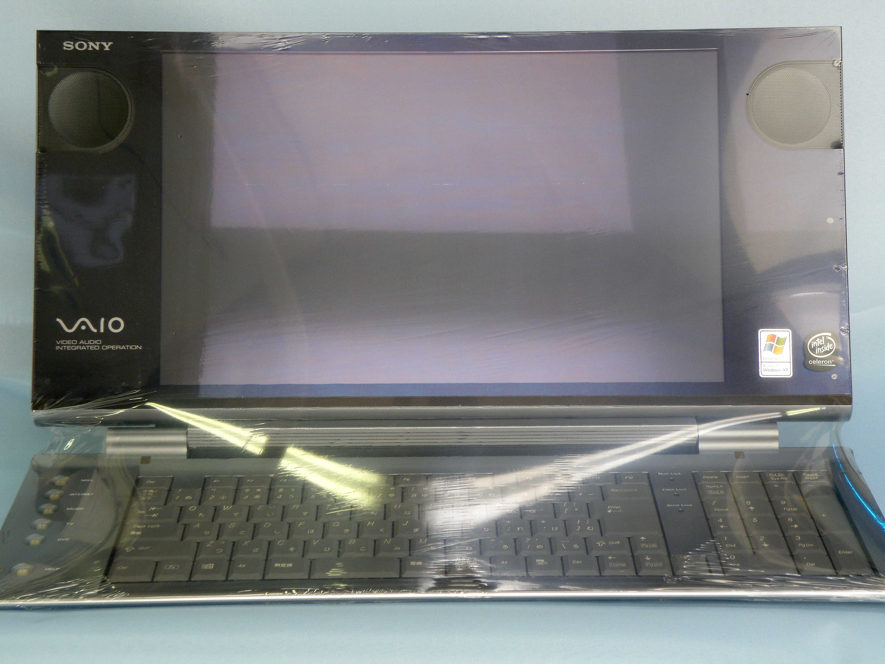 SONY　一体型パソコン　VAIO　PCV-W101