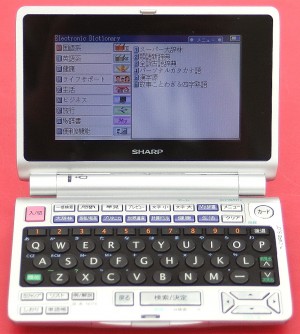 SONY　ビデオカメラ　DCR-DVD810