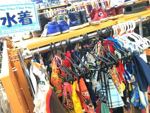 KISSバックル ベルト | オフハウス三河安城店