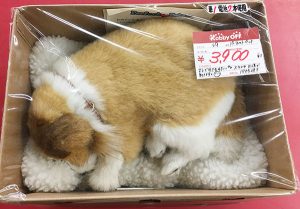 おしりで立体ことばあそび もじもじべあ入荷しました。｜ ハードオフ三河安城店